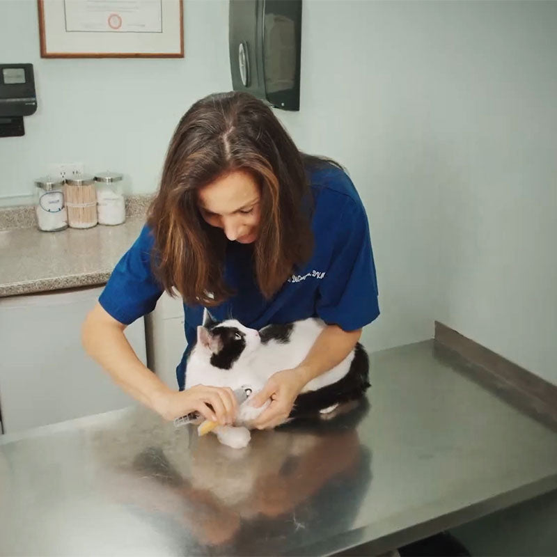 Premium Honden Nagelknipper met Veiligheidssensor