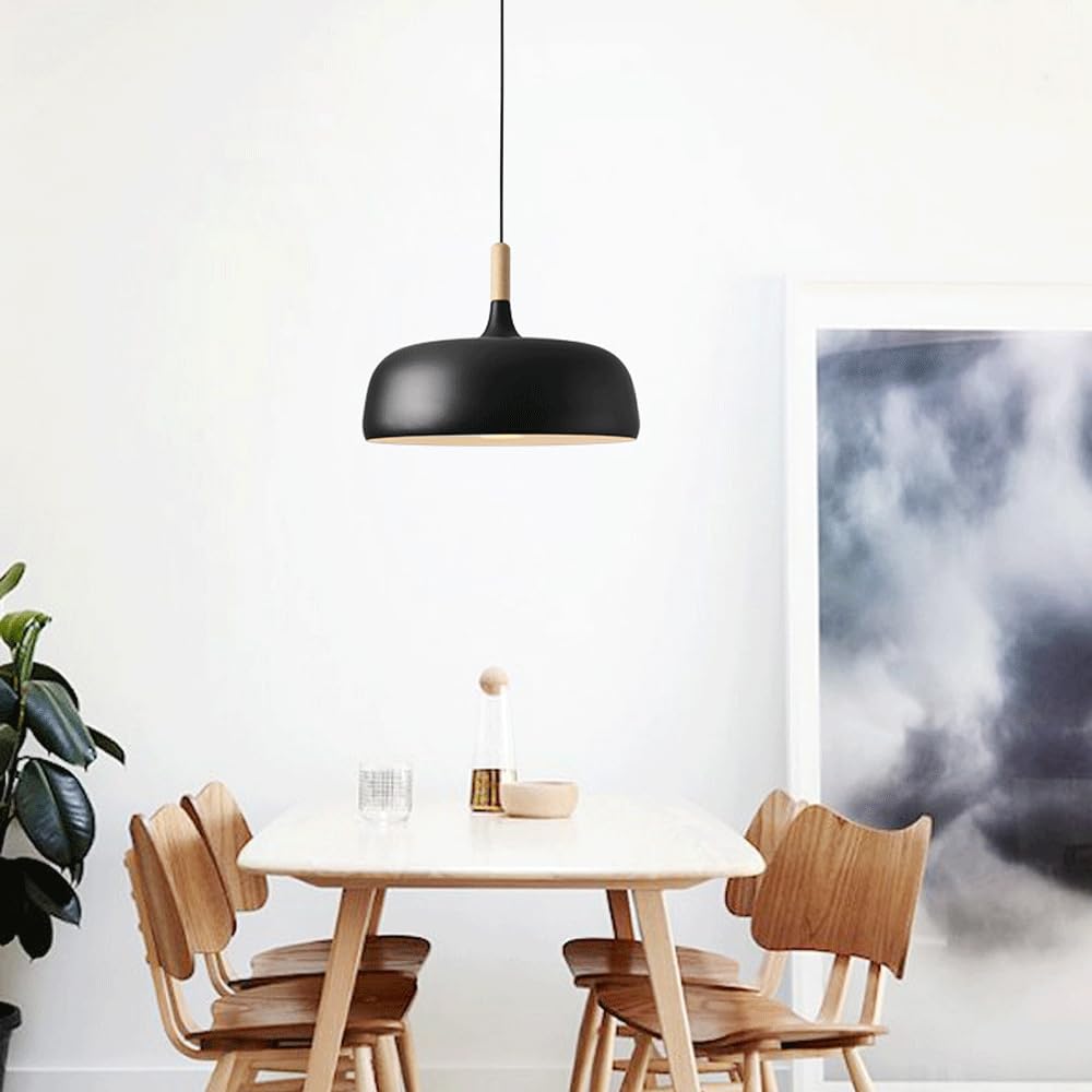 Vibrant Dome Pendant Light