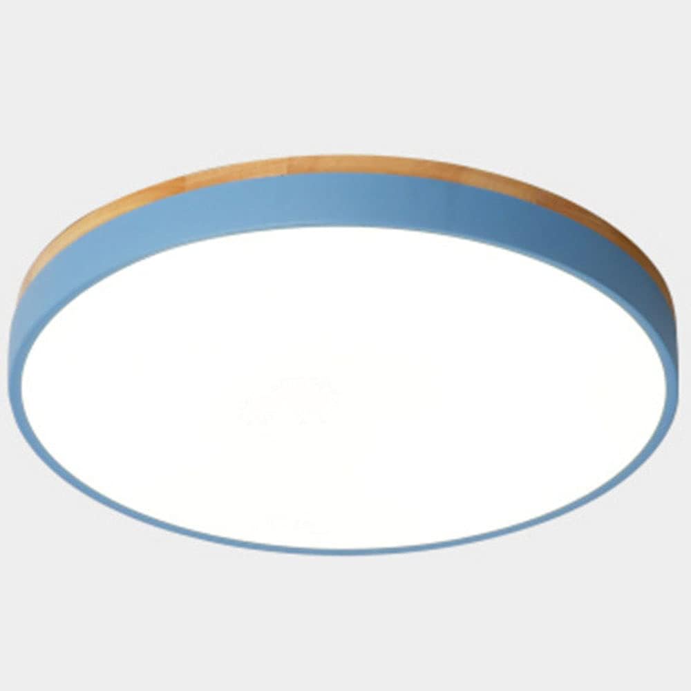 Modern Wave LED Ceiling Light