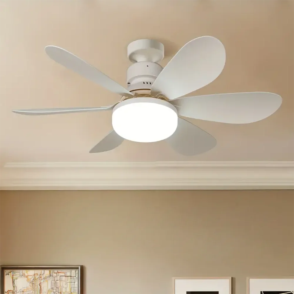 Purry Socket Fan Light