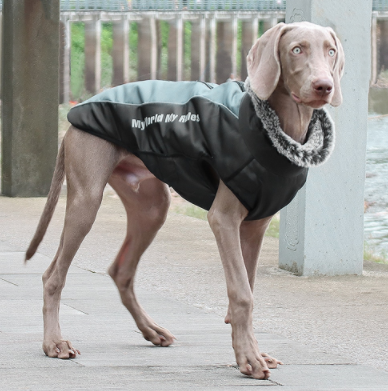 Weerbestendige Hondjacke voor Alle Seizoenen