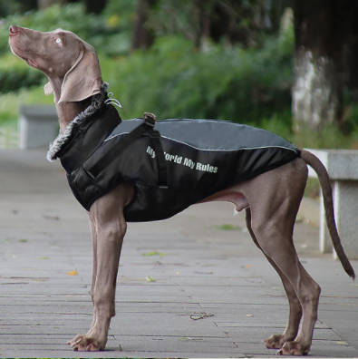 Weerbestendige Hondjacke voor Alle Seizoenen