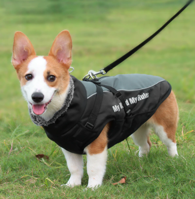 Weerbestendige Hondjacke voor Alle Seizoenen