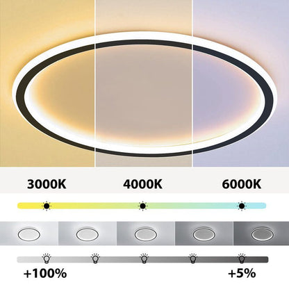 Contemporary Disc Ceiling Lamp
