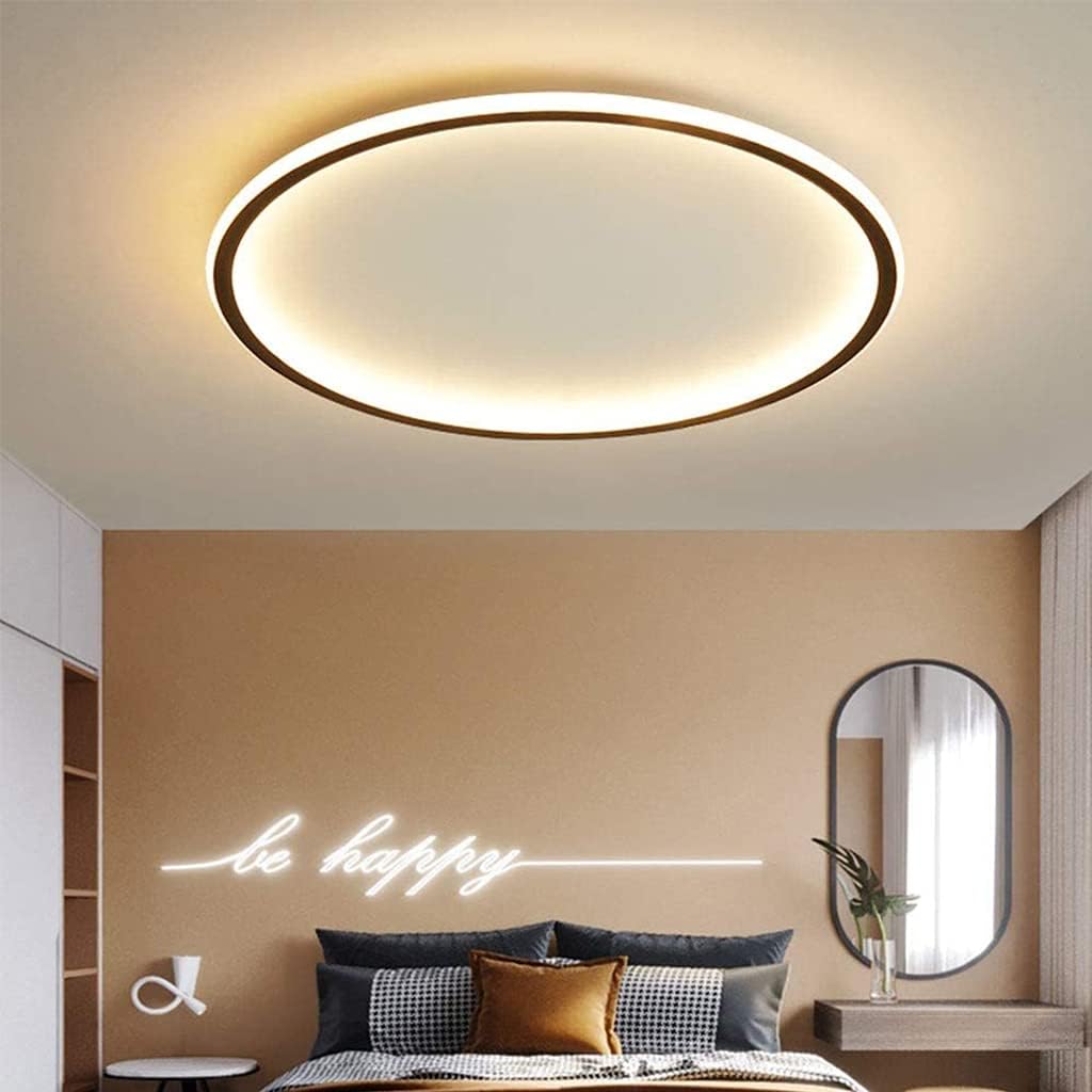 Contemporary Disc Ceiling Lamp