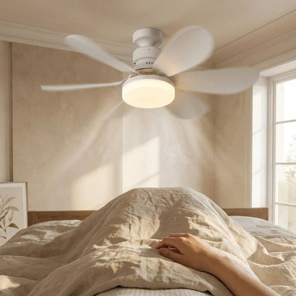 Purry Socket Fan Light