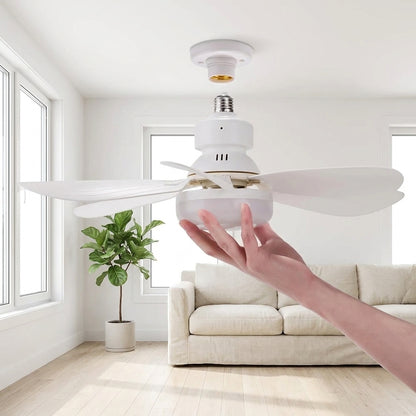 Purry Socket Fan Light