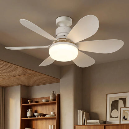 Purry Socket Fan Light