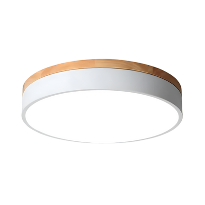 Calluvia Nordic Acrylic Flush Ceiling Light