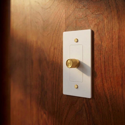 Norvessa Vintage Brass Rotary Dimmer Switch