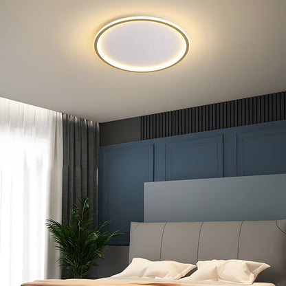 Contemporary Disc Ceiling Lamp