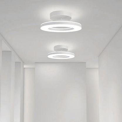 Modern LED Ceiling Lamp for the Hall