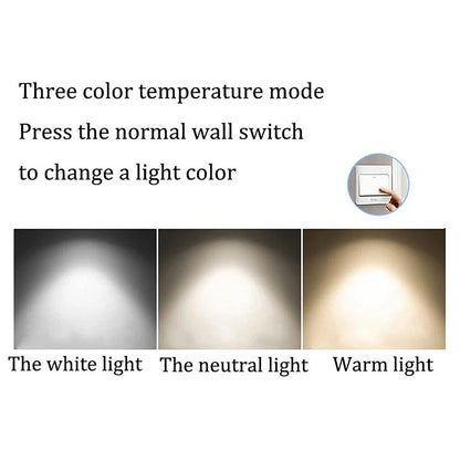 Modern Flat LED Light