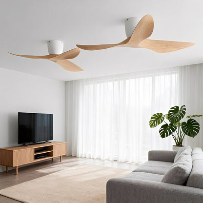 Modern DC Motor Ceiling Fan