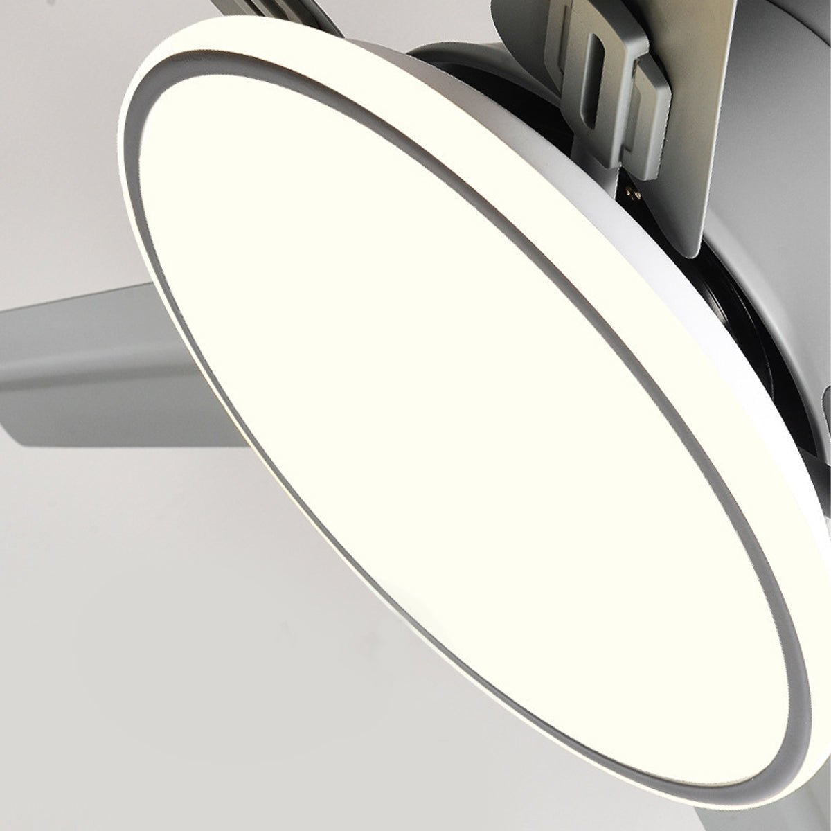 Modern 5-Blade LED Ceiling Fan Light