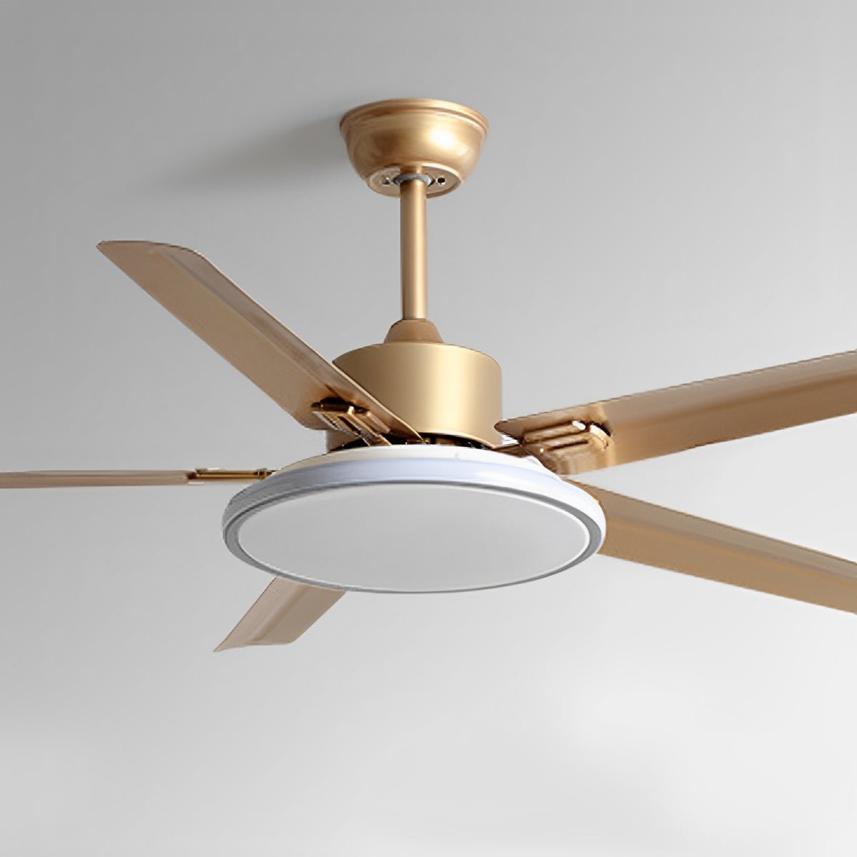 Modern 5-Blade LED Ceiling Fan Light