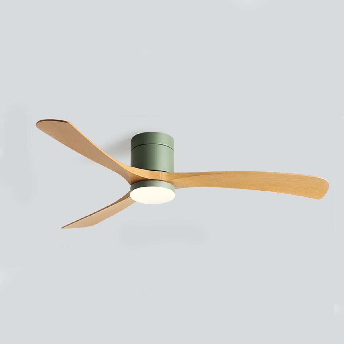 Modern Nordic LED Ceiling Fan Light