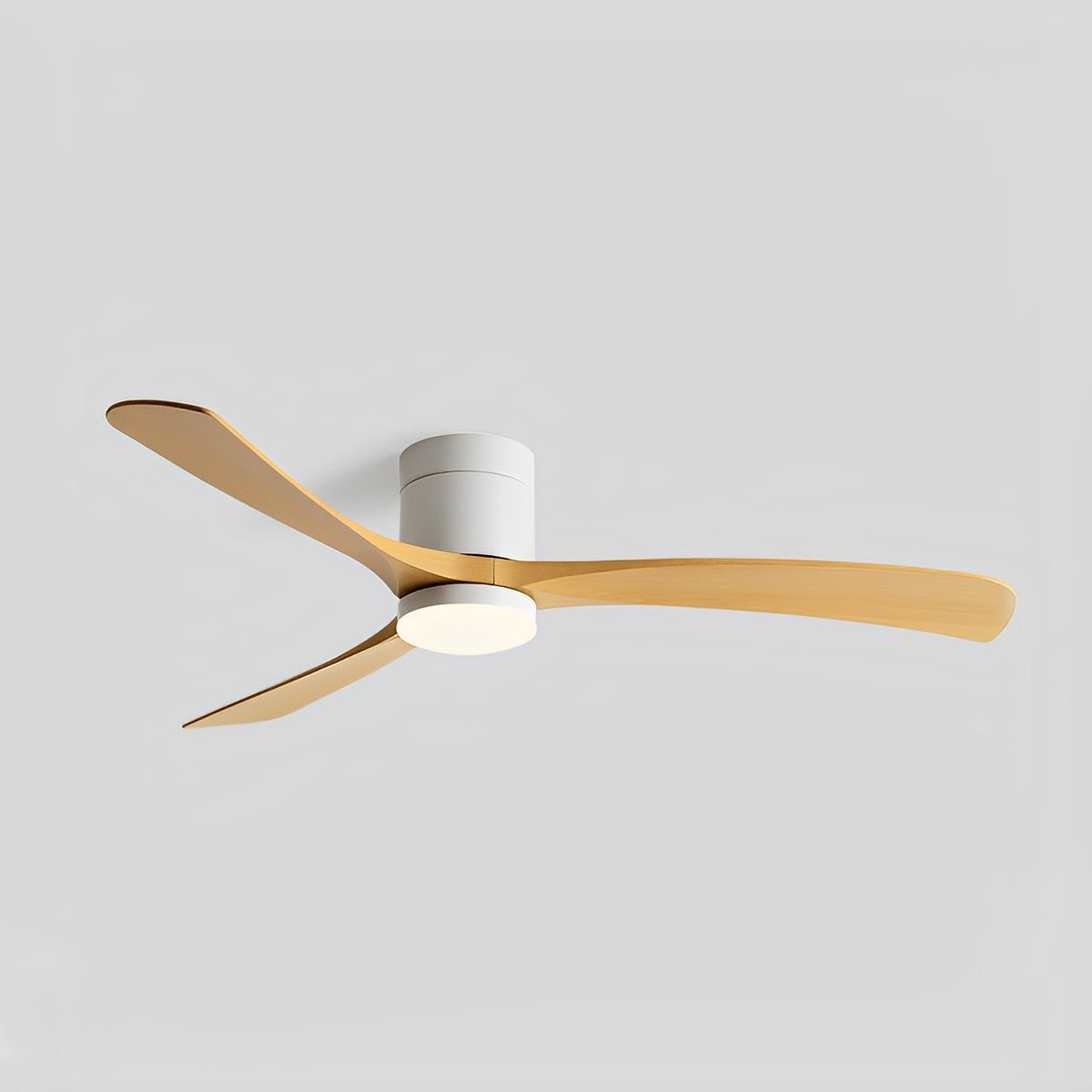 Modern Nordic LED Ceiling Fan Light