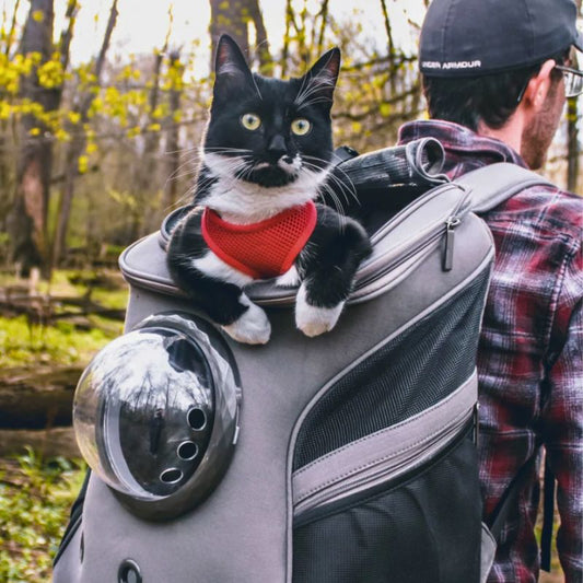 Reisvriendelijke Kattenvervoerders Tas