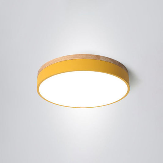 Morandi Ceiling Light