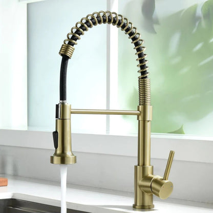 Modern Kitchen Faucet with Pull-Down Spring Sprayer